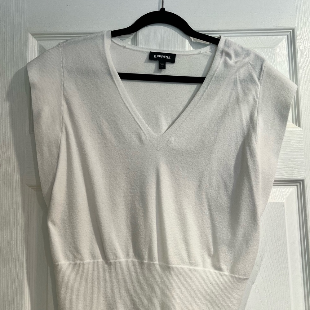 Express Sweater V-Neck Top